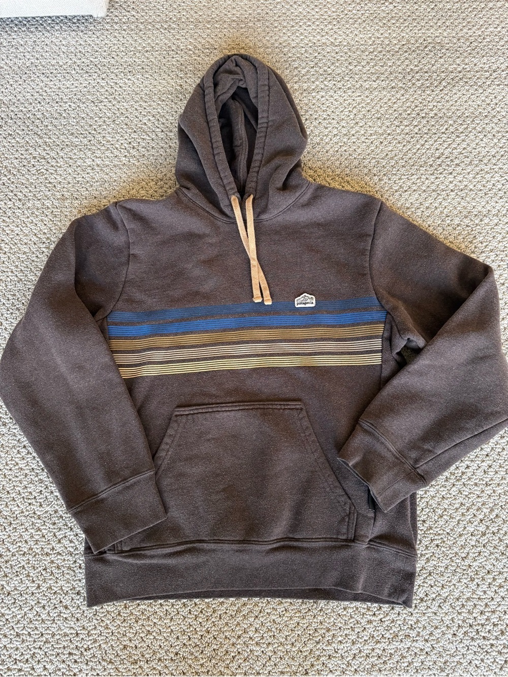 Patagonia Brown Hoodie with Blue and Tan Stripes